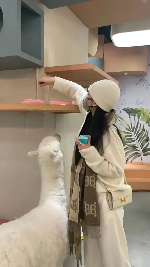 高清专区